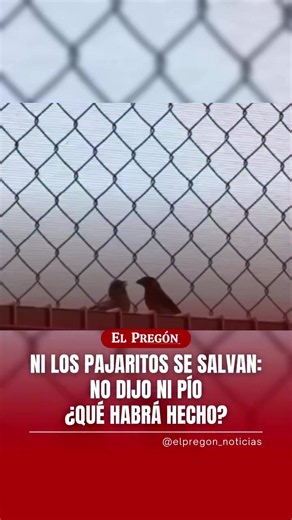 Cómo expresar desacuerdos en la pareja sin herir: comunicación asertiva
