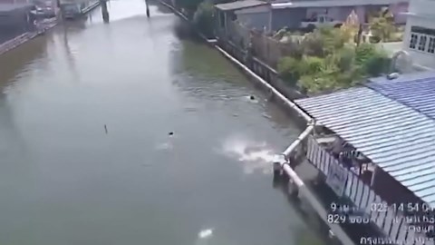 Youngster almost drowns while swimming across canal to celebrate exemption, only for hero cop to save him