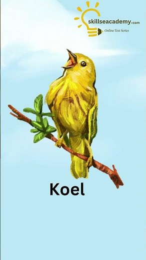 Learn Bird Names with Pictures and Spelling | Preschool & Kindergarten Kids