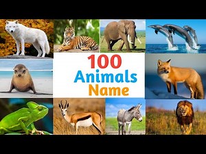100 animals name in English with pictures l learn 100 animals of the world l kiddos story world
