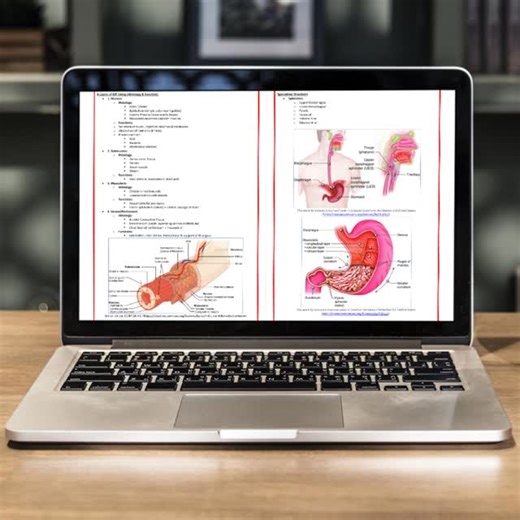 MedStudentNotes on Instagram: "🩺💡FREE High-Yield Medical Study Notes, Written By Doctors! 💯🧑🏻‍⚕️⁠ ⁠ 🩺Our Study Notes Save You Time, Reduce Burnout Risk, AND Improve Your Exam Results!🎓⁠ ⁠ 👍An ESSENTIAL Resource for ALL Medical, MBBS, MD, & MBChB students, as well as PA, Nursing, Pre-Med, USMLE & Allied Health Students! 💊⁠ ⁠ 👉COVERING ALL BODILY-SYSTEMS & TOPICS: ⁠ ✅ Anatomy, ⁠ ✅ Physiology, ⁠ ✅ Pathophysiology, ⁠ ✅ Pathology, &⁠ ✅ Therapeutic Principles!⁠ ✅ (+ Pharmacology, Genetics, B