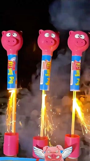 Fireworks / Flying Pigs - Rockets (Pyrotechnics) Triple Banger Outdoor #Fireworks #shorts