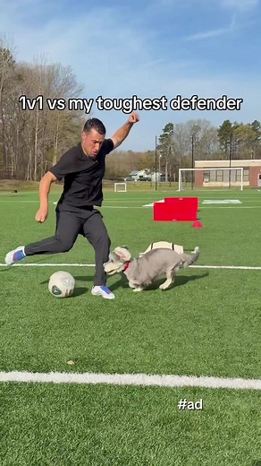 Beggin' XI: Can Your Dog Make the Ultimate Squad?