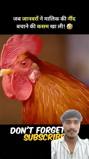 जानवर का Good Morning 🤯🤯 || #reels #viral #explore #trending #shorts #animation