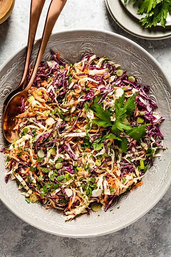 Greek Yogurt Coleslaw with Healthy Coleslaw Dressing - Foolproof Living