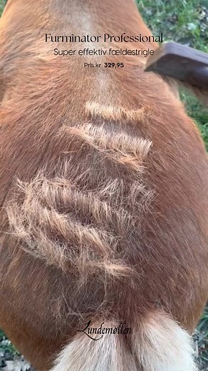 6.4K views | Furminator Professional fældestrigle  Meget effektiv...