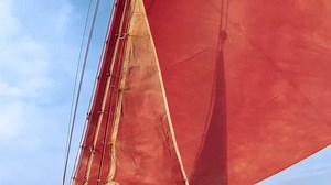 21K views · 980 reactions | Pine tar, also called Stockholm tar, has...