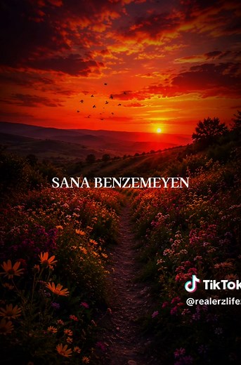 Gül Ki Güller Açsın — Gül Yanağında Sözleri ve Kapak Çizgileri