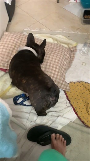 Sleeping while holding the battle