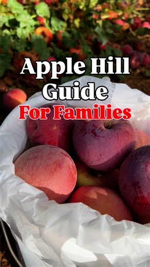 Sactown Supermom | Sacramento Events & Activities for Kids on Instagram: "A quick guide to Apple Hill 🍎 We’re now in the prime season of Apple Hill. These are favorite Apple Hill farms and stops our family enjoys each year. ➡️ Sactownsupermom.com has the ultimate list of fall things to do in Sacramento with kids. Favorite Apple Hill Farms - 🍎 @rainbow_orchards_ca Make it your first stop for their hot apple cider donuts. There’s a large grassy area with kid-sized picnic tables. &#