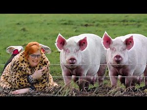 Sun Bingo "Are You Gonna Bingo?"