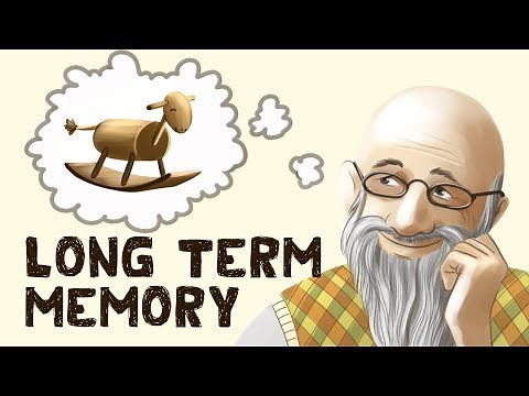 Long Term Memory (Free Test + Examples)