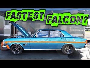 Worlds Fastest Falcon? - Nearly 200mph!