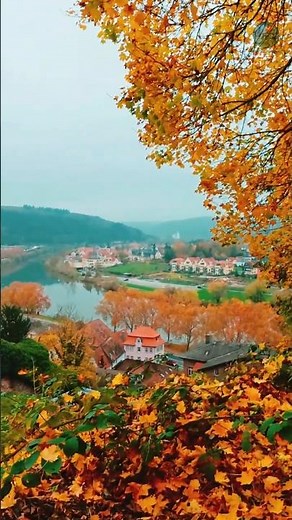 🏰 You Won’t Believe This Castle Over the River! #Wertheim #MainRiver #GermanyTravel #WalkingTour