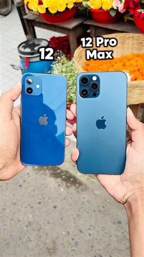 iPhone 12 Vs iPhone 12 Pro Max || Camera Zoom Test! #shorts
