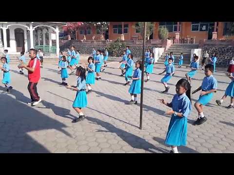 Senam Anak SD ENTAH APA YANG MERASUKIMU - NEW VERSION