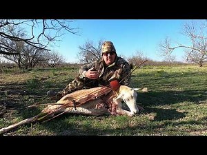 Longbow hunt for Texas exotics