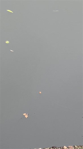 Les choses sérieuses commencent. ⚔️