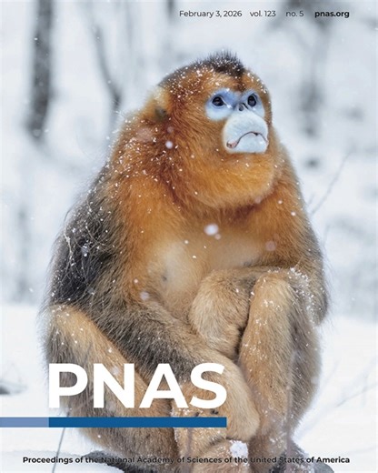 Northwest University on Instagram: "🙌On Feb 4, #PNAS featured a cover article from NWU’s School of Life Sciences, led by the Primate Behavior & Evolutionary Development research team: “Incomplete lineage sorting shaped mixed traits during a colobine primate radiation.” 👉The study helps explain how Asian leaf monkeys (colobine primates) developed their diverse physical traits, providing a clearer framework for tracing their evolutionary history. 💡Beyond primates, the findings offer fresh insig