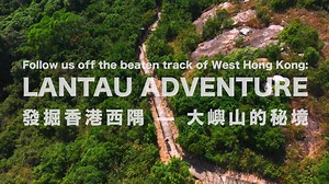 1.3K reactions · 53 shares | [Discover the city’s natural beauty with...