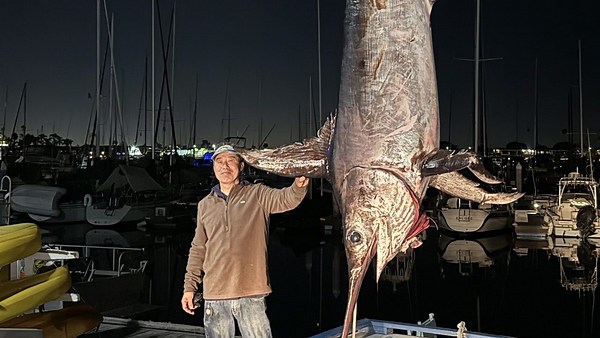 San Diego angler breaks California record with catch of 666-pound swordfish
