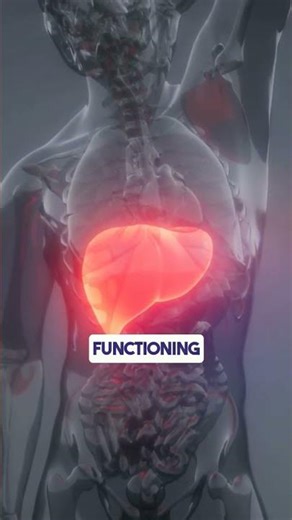 What are Liver Function Tests (LFTs)?