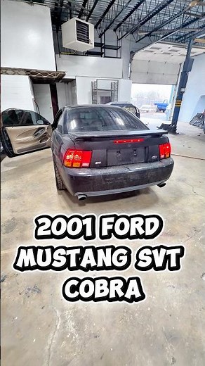 My New Project Car. 2001 Ford Mustang SVT Cobra. #fordmustang #svt #svtcobra