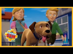 Nipper's big dog walk! 🔥 Fireman Sam new compilation