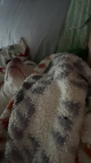 I swear she is alive ! #pitbull #pittiesoftiktok