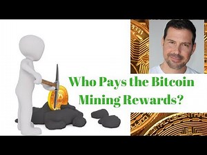 Who Pays the Bitcoin Mining Reward? - George Levy