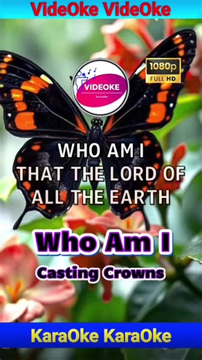 Who Am I - Casting Crowns #karaoke #musiclovers #singalong #fypシ゚viral