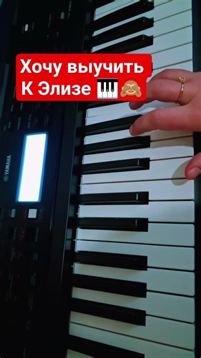 синтезатор - к Элизе ( хочу выучить)