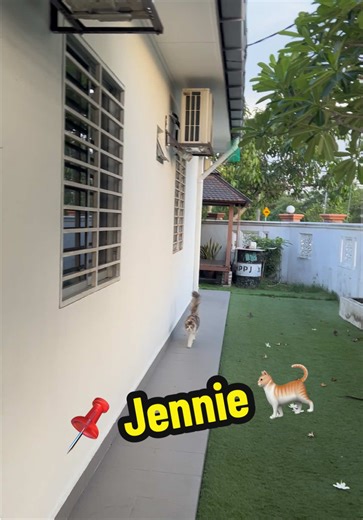 Sbb ada 3 ank lelaki, Jennie pun terpanggil boboi 😂. #cat #jennie @jenjen