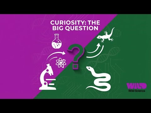 Curiosity... What’s the Question? Celebrating British Science Week 2026
