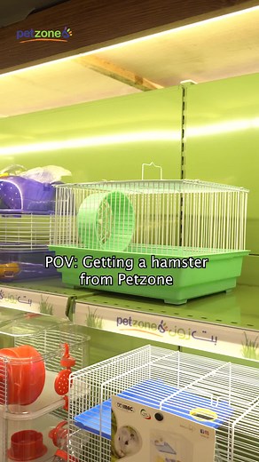 Tips for Getting a Hamster: Complete Guide for Pet Owners