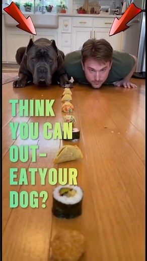 Dog vs Man: The Snack Showdown #DogVsMan #pethumor #dogs