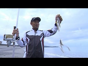 【いつでも釣り気分！】#198 良型落ちギス狙い！ 高知県の投げ釣り