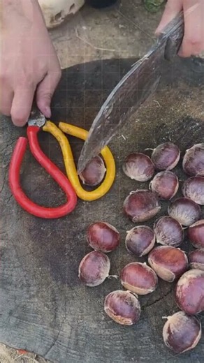 An Easy and Safe Way to Crack Open Chestnuts! 🌰✨#shorts