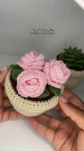 Crochet Flower Pot/Keepsake Box tutorial on YouTube 🌸 Lacie Made It 🌸 #crochet #crochetersoftiktok #crochettiktok #fyp #foryou #viral #crochettutorial #crochetidea #crochetprojects #ideas #crochetideas #pinterest #foryou #crochetflowers #crochetroses