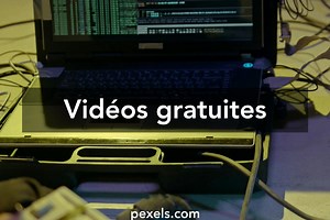 151+ Vidéos De Python Libre de Droit, Clips Vidéo de Python en 4K et HD