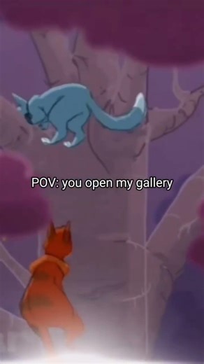 Pov:moją galeria👍 #warriorcats #warrior #cat #edit