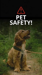 Parks and Wildlife Service, Western Australia on Reels