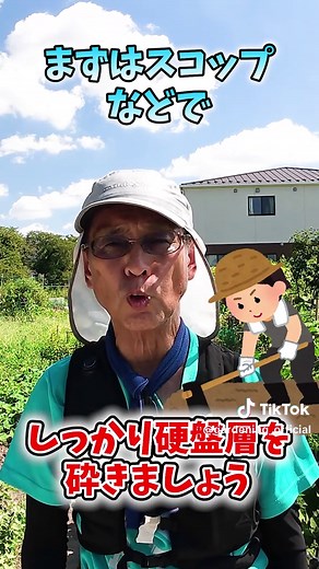 大根栽培の土作りと育て方のポイント
