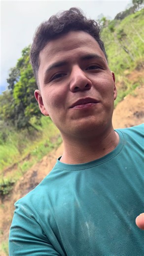 Crucero (gusanito del aguacate): qué es y para qué sirve