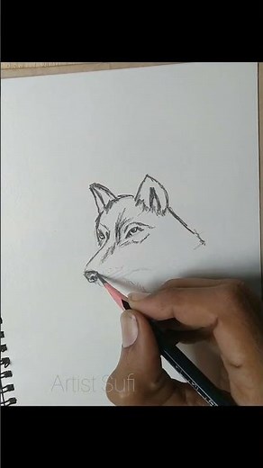 How to Draw a Wolf | Easy & Realistic Sketch #arte #artprocess #sketch #sketchartist #sketchings