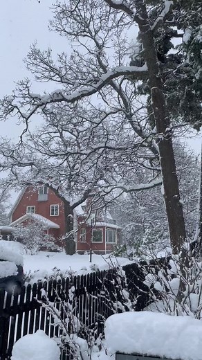 Exploring Winter in Sweden as an Au Pair