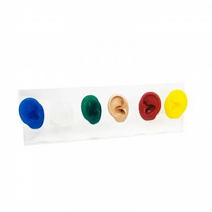 [Hot Item] Acrylic Ear Model Display with Six Silicone Ears for Hearing Aids Display Ear Education Model