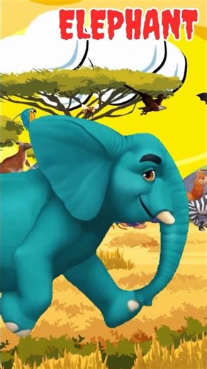 Colorful Savanna Animal Sounds Song, Lion, Zebra, Flamingo & Elephant, Learn Savanna Animals for Kid