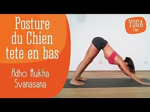 Yoga : Posture du chien tête en bas (Adho Mukha Svanasana)