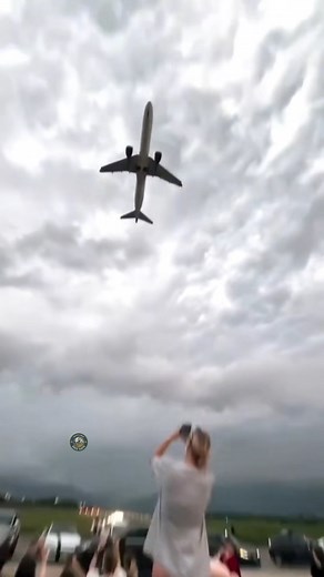 Boy Pitik | Basic North